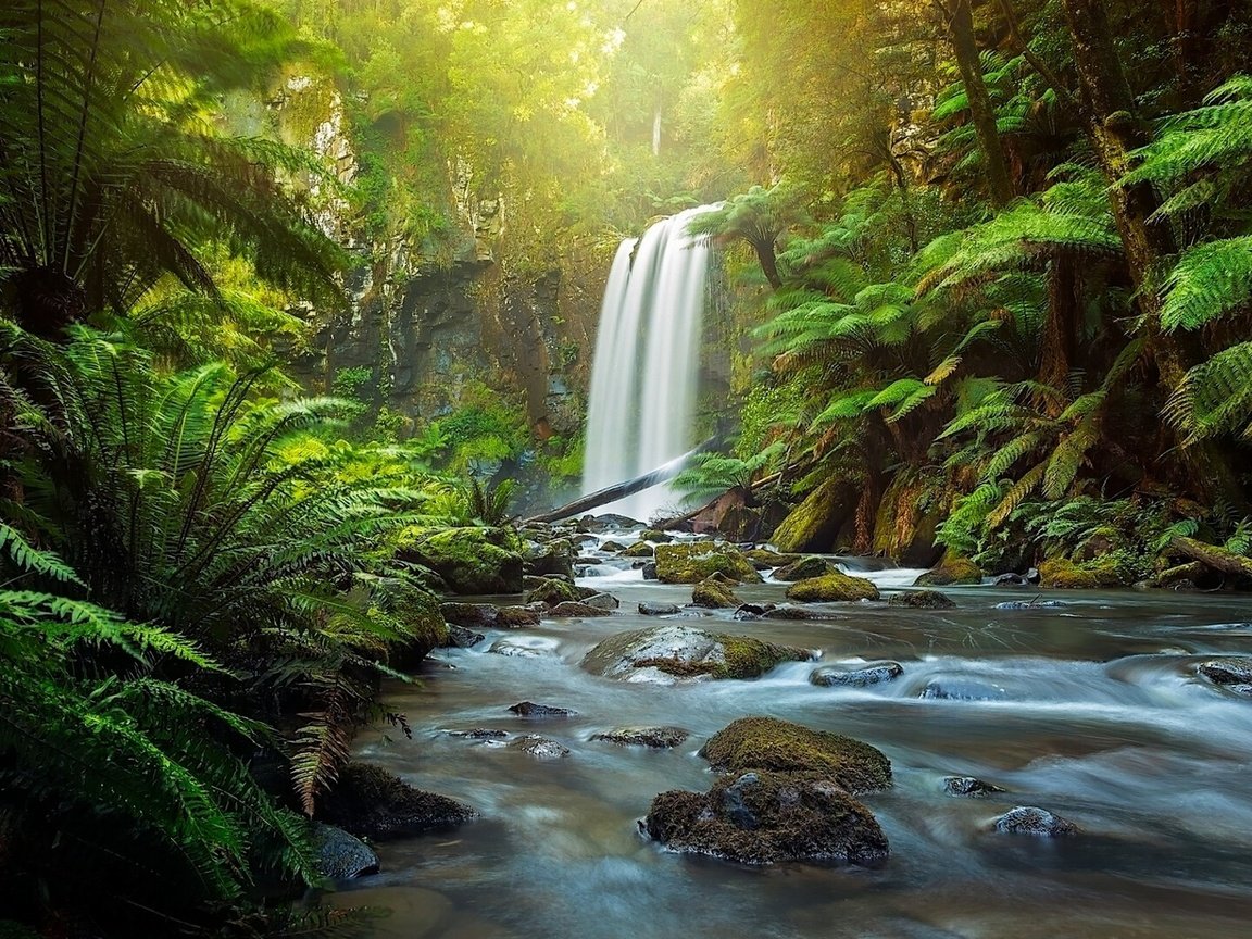 Обои река, great otway national park, hopetoun falls, природа, лес, водопад, австралия, папоротник, виктория, the otways, aire river, river, nature, forest, waterfall, australia, fern, victoria разрешение 1920x1080 Загрузить