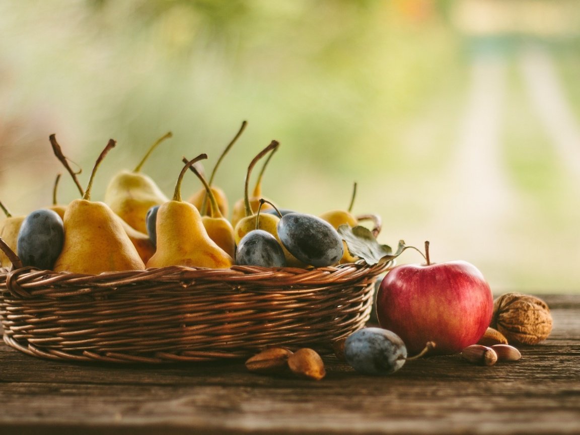 Обои орехи, фрукты, яблоки, груши, сливы, осенний урожай, nuts, fruit, apples, pear, plum, autumn harvest разрешение 1920x1200 Загрузить