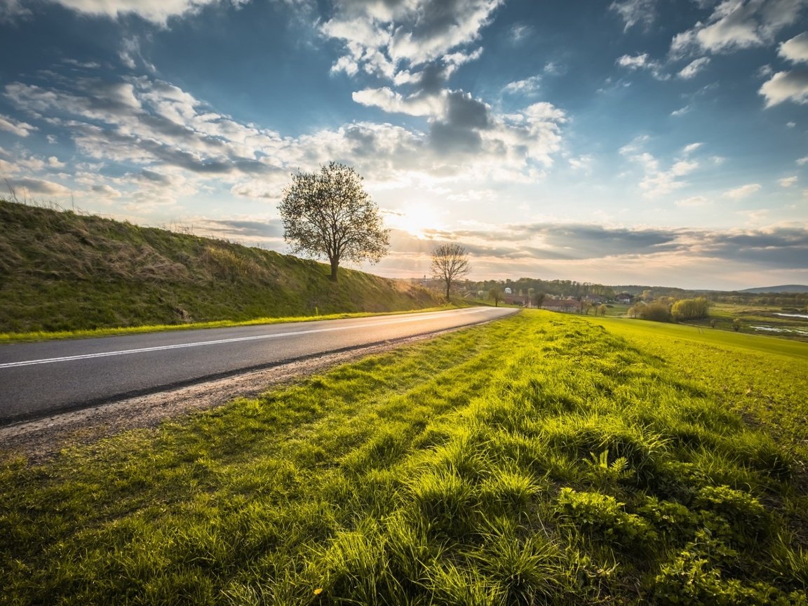 Обои небо, дорога, облака, природа, дерево, пейзаж, the sky, road, clouds, nature, tree, landscape разрешение 1920x1200 Загрузить