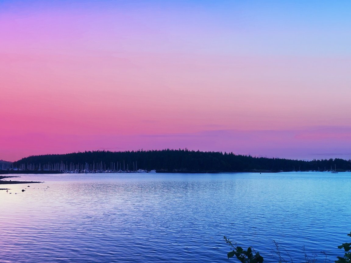 Обои деревья, озеро, закат, горизонт, trees, lake, sunset, horizon разрешение 3342x2675 Загрузить