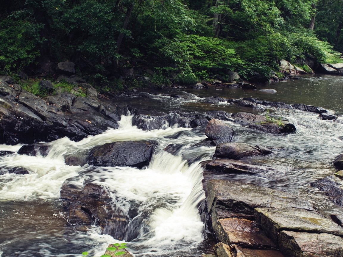 Обои река, скалы, камни, листва, river, rocks, stones, foliage разрешение 3840x2160 Загрузить