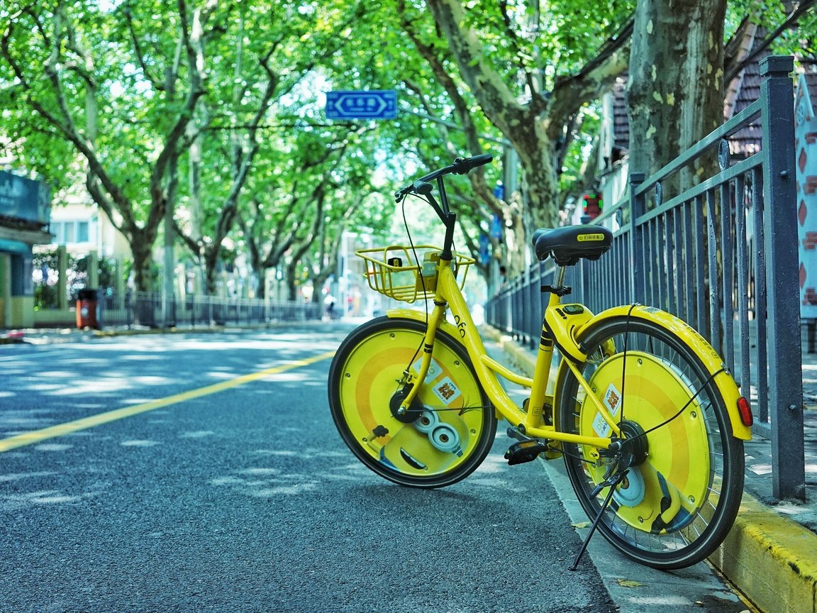 Обои деревья, город, улица, велосипед, trees, the city, street, bike разрешение 5567x3706 Загрузить