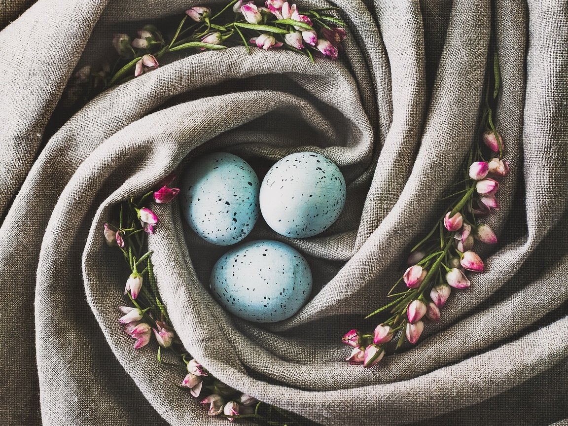 Обои цветы, ткань, пасха, яйца, праздник, гнездо, декор, flowers, fabric, easter, eggs, holiday, socket, decor разрешение 2048x1638 Загрузить