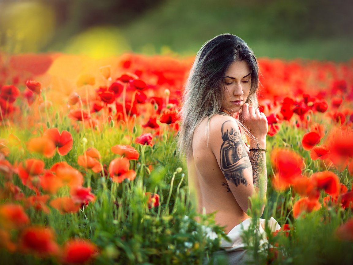 Обои цветы, девушка, настроение, маки, луг, тату, спина, боке, flowers, girl, mood, maki, meadow, tattoo, back, bokeh разрешение 2048x1367 Загрузить