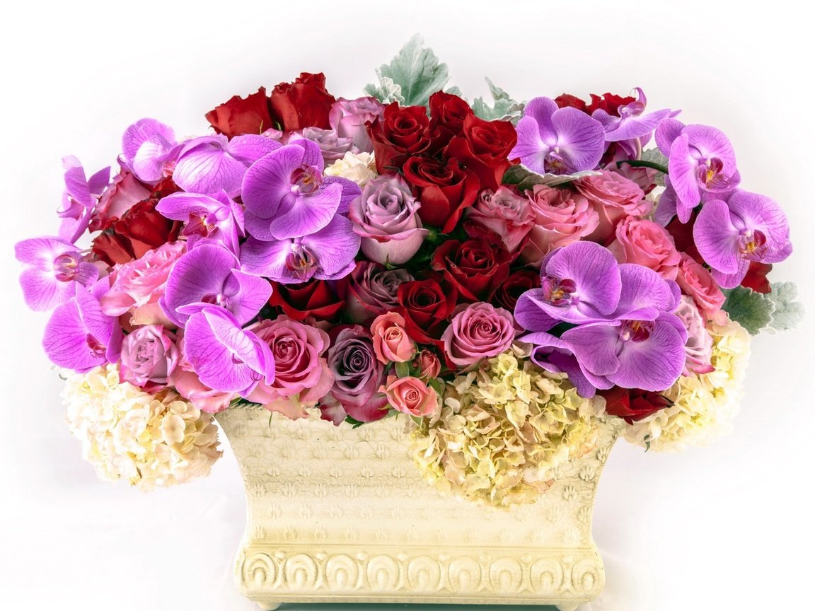 Обои цветы, розы, много, ваза, flowers, roses, a lot, vase разрешение 2560x1681 Загрузить