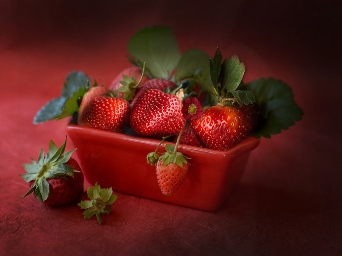 Обои ягода, клубника, спелая, земляника, сочная, berry, strawberry, ripe, strawberries, juicy разрешение 2048x1344 Загрузить