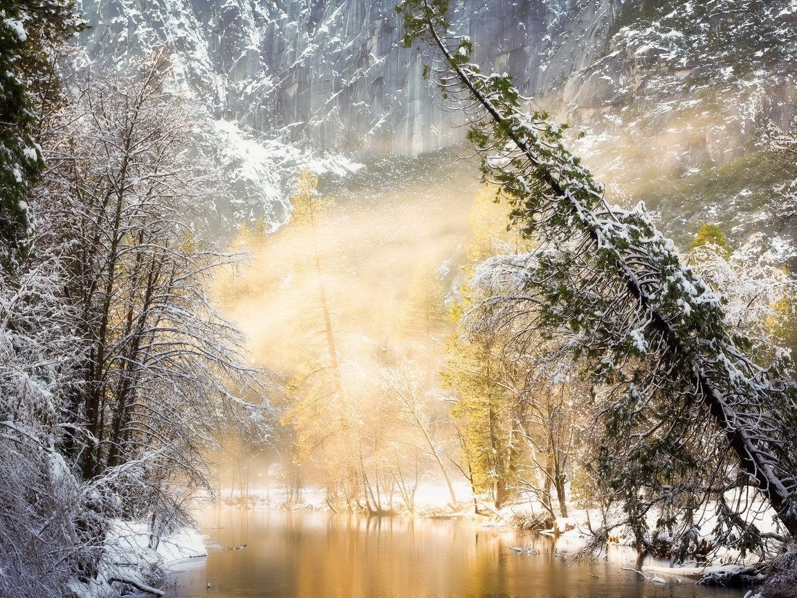 Обои река, солнце, природа, лес, зима, river, the sun, nature, forest, winter разрешение 2710x1750 Загрузить