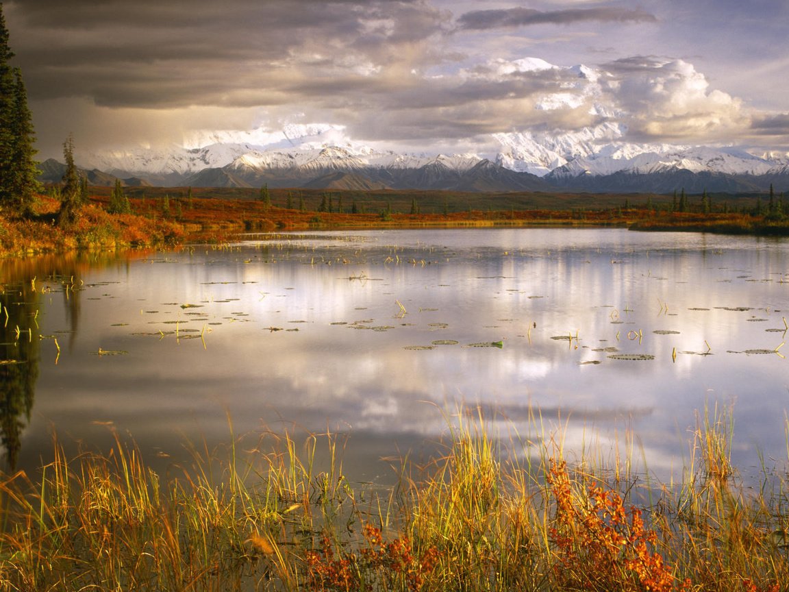 Обои трава, озеро, пасмурно, grass, lake, overcast разрешение 1920x1080 Загрузить