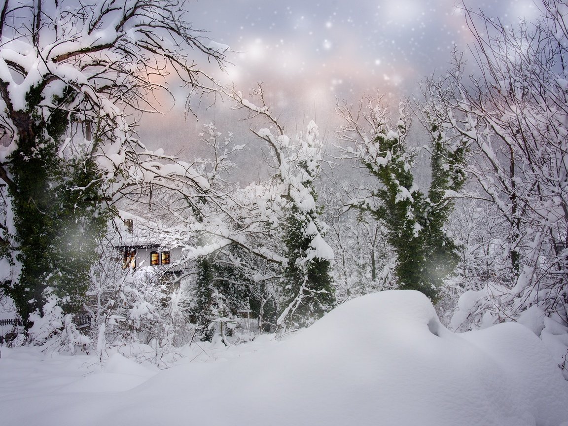 Обои деревья, болгария, снег, природа, зима, пейзаж, дом, сугробы, снегопад, trees, bulgaria, snow, nature, winter, landscape, house, the snow, snowfall разрешение 2000x1325 Загрузить