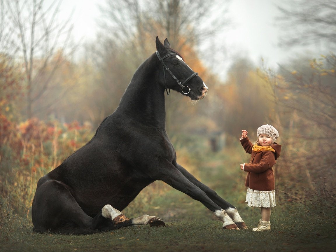 Обои лошадь, девочка, малышка, дрессура, horse, girl, baby, taming разрешение 1920x1280 Загрузить