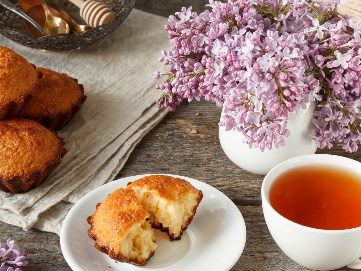 Обои дерево, фон, весна, чай, сирень, кекс, tree, background, spring, tea, lilac, cupcake разрешение 2112x1188 Загрузить