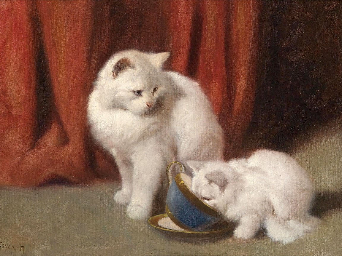 Обои рисунок, картина, животные, кошка, коты, белая, arthur heyer, figure, picture, animals, cat, cats, white разрешение 3228x2226 Загрузить