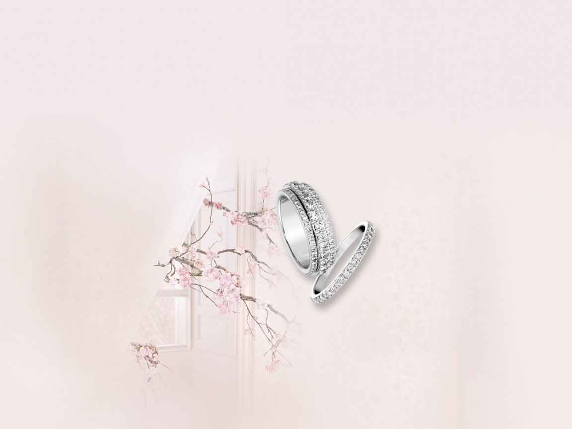 Обои розовый, нежность, кольца, свадьба, pink, tenderness, ring, wedding разрешение 1920x1080 Загрузить