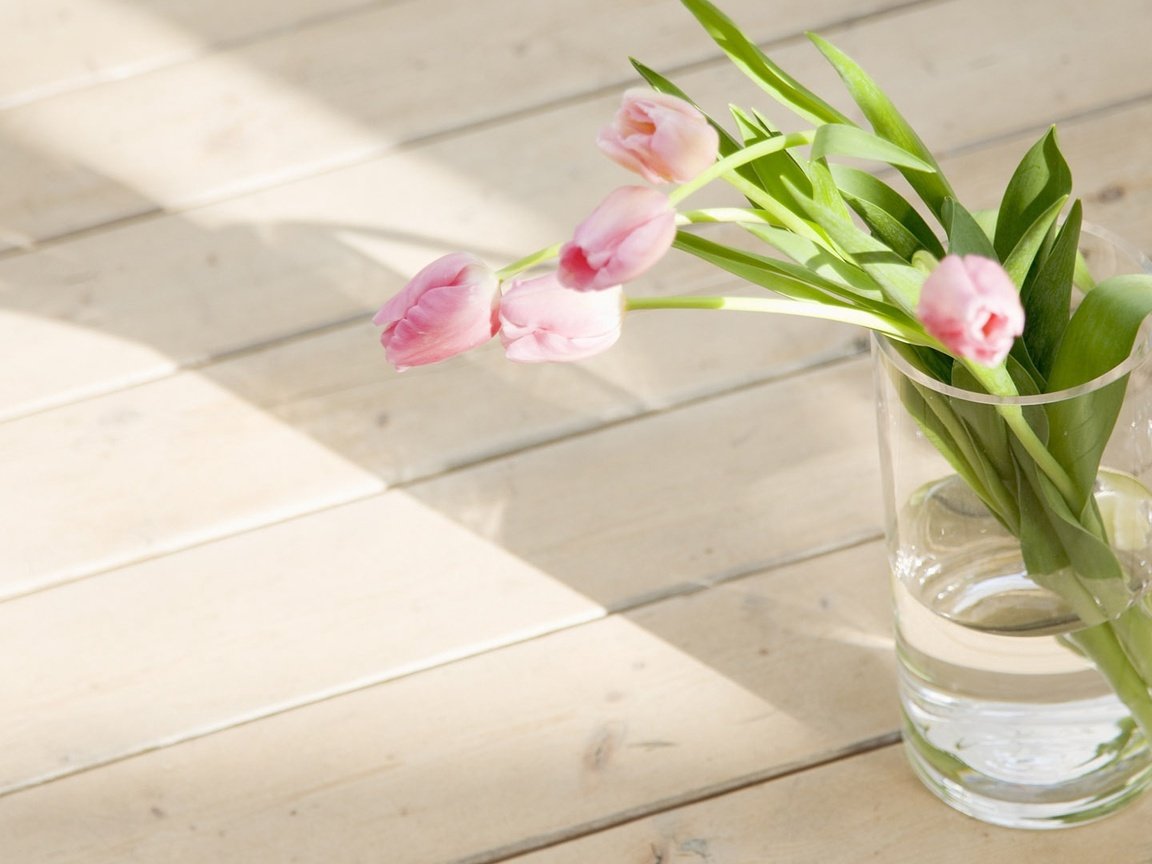 Обои цветы, букет, тюльпаны, розовые, тюльпан, ваза, flowers, bouquet, tulips, pink, tulip, vase разрешение 1920x1080 Загрузить