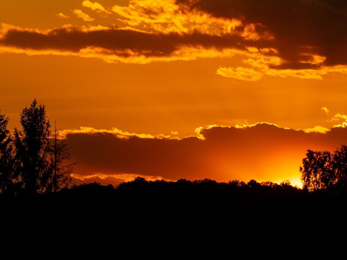 Обои небо, деревья, солнце, закат, силуэт, the sky, trees, the sun, sunset, silhouette разрешение 3840x2160 Загрузить