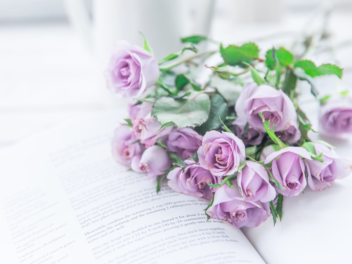 Обои цветы, розы, букет, книга, фиолетовые, flowers, roses, bouquet, book, purple разрешение 5000x3333 Загрузить