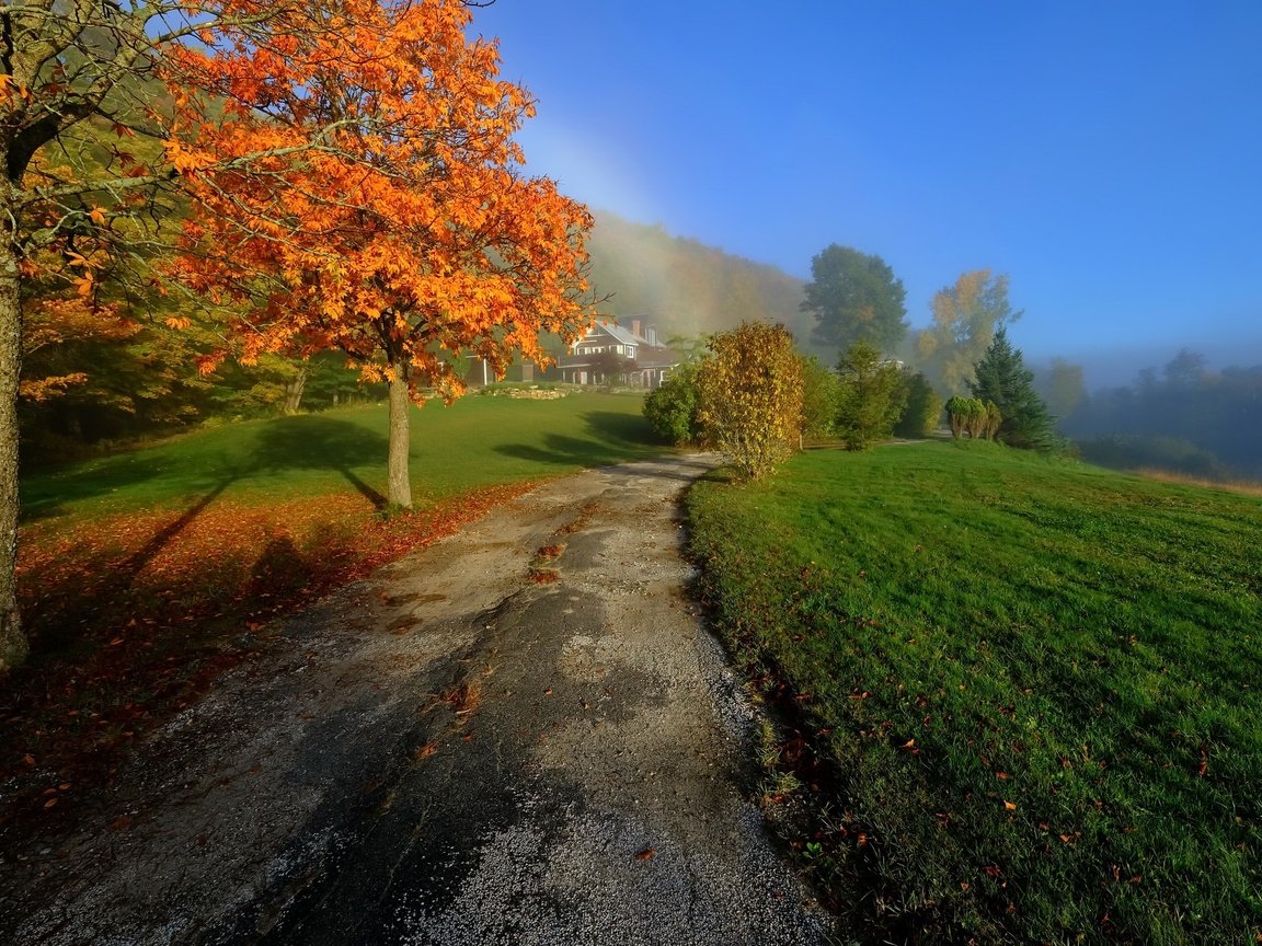 Обои дорога, деревья, природа, осень, дороги, road, trees, nature, autumn разрешение 2048x1365 Загрузить
