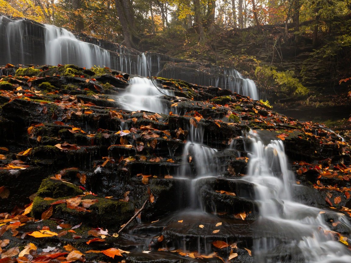 Обои деревья, природа, камни, лес, листья, водопад, сша, trees, nature, stones, forest, leaves, waterfall, usa разрешение 3715x2477 Загрузить