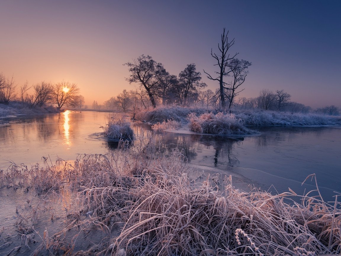 Обои деревья, река, восход, утро, рассвет, иней, осень, trees, river, sunrise, morning, dawn, frost, autumn разрешение 2048x1365 Загрузить