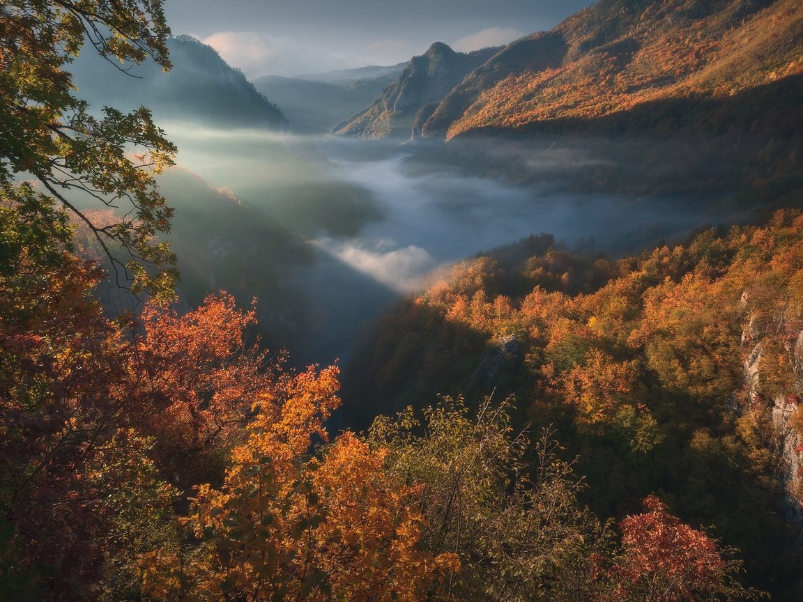 Обои горы, лес, осень, ущелье, черногория, mountains, forest, autumn, gorge, montenegro разрешение 1920x1280 Загрузить