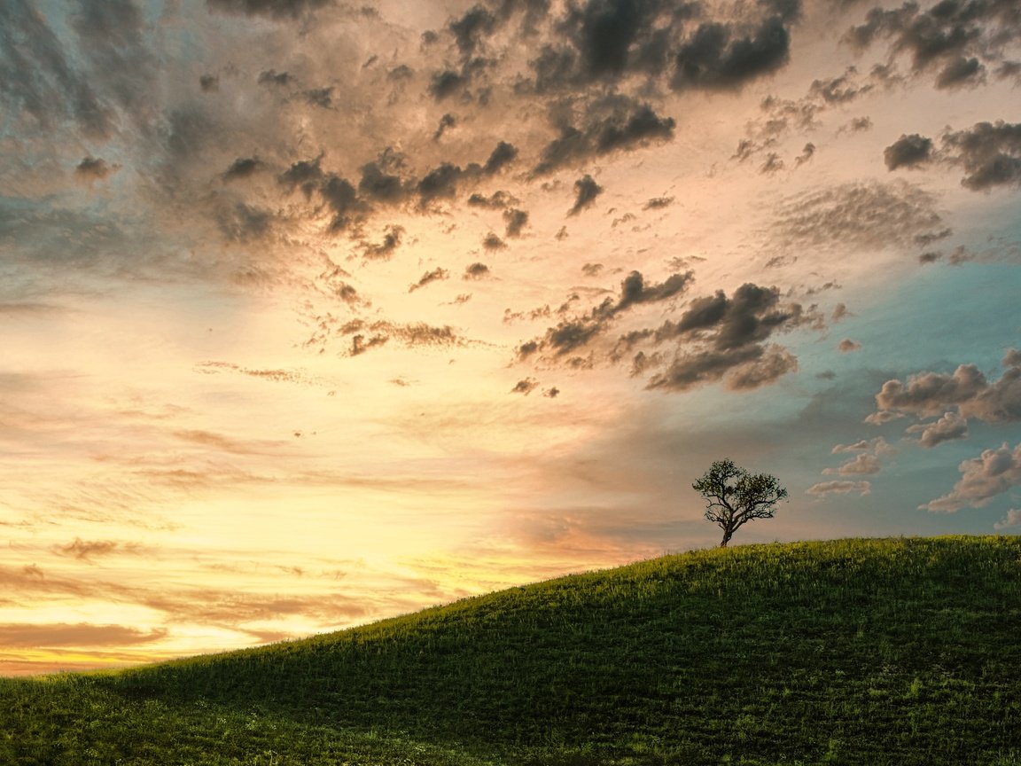 Обои облака, дерево, поле, clouds, tree, field разрешение 2500x1563 Загрузить