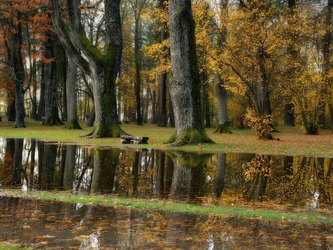 Обои природа, парк, nature, park разрешение 3840x2160 Загрузить