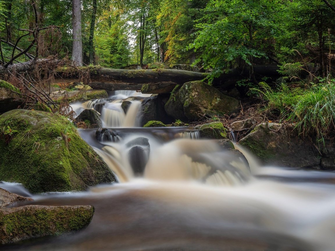 Обои река, камни, лес, водопад, мох, германия, каскад, harz national park, саксония-анхальт, saxony-anhalt, river, stones, forest, waterfall, moss, germany, cascade разрешение 2048x1152 Загрузить