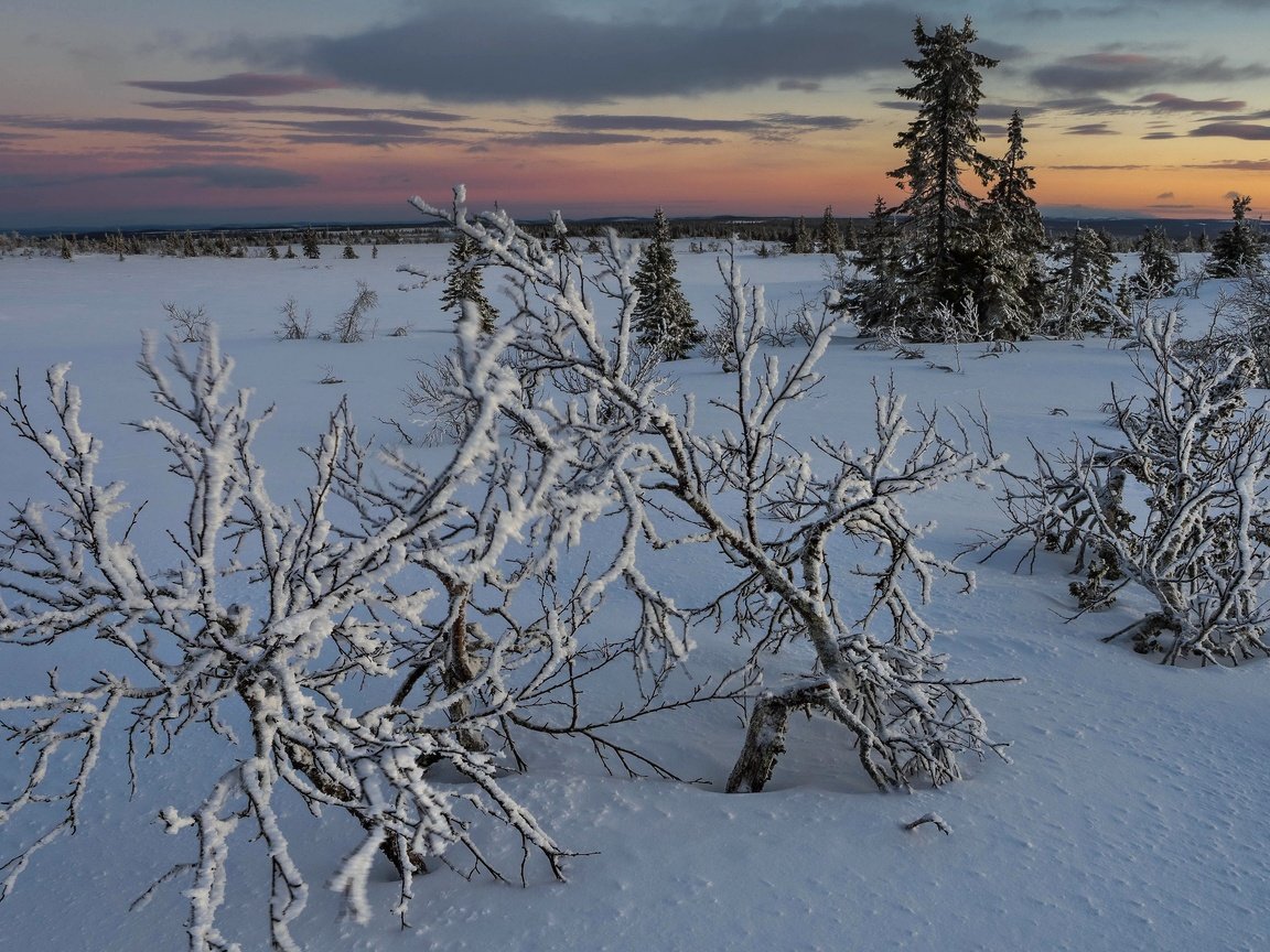 Обои снег, закат, snow, sunset разрешение 3840x2160 Загрузить