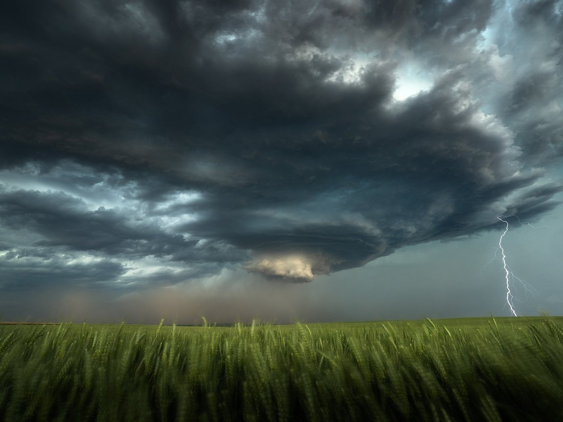 Обои торнадо, тучи, молния, поле, колосья, гроза, воронка, стихия, ураган, tornado, clouds, lightning, field, ears, the storm, funnel, element, hurricane разрешение 2048x1365 Загрузить