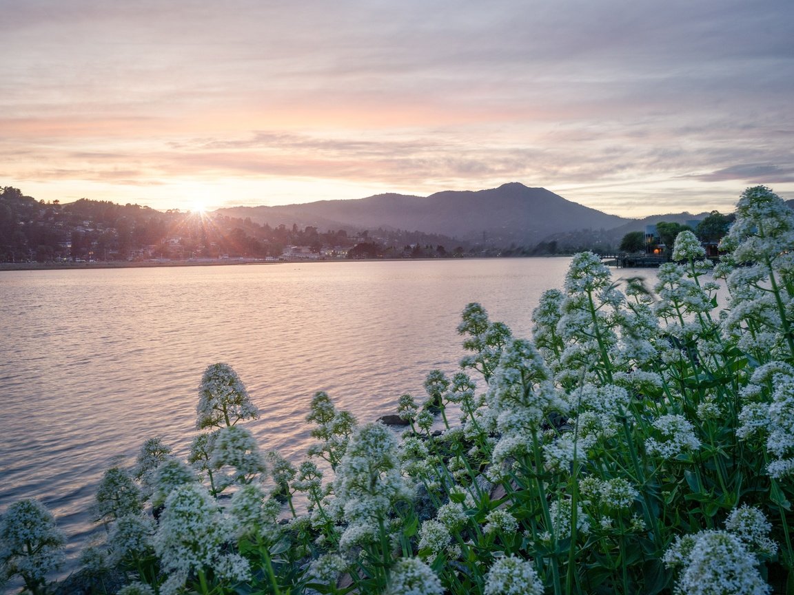 Обои цветы, поселение, горы, солнце, берег, утро, кусты, водоем, даль, flowers, settlement, mountains, the sun, shore, morning, the bushes, pond, dal разрешение 2880x2057 Загрузить