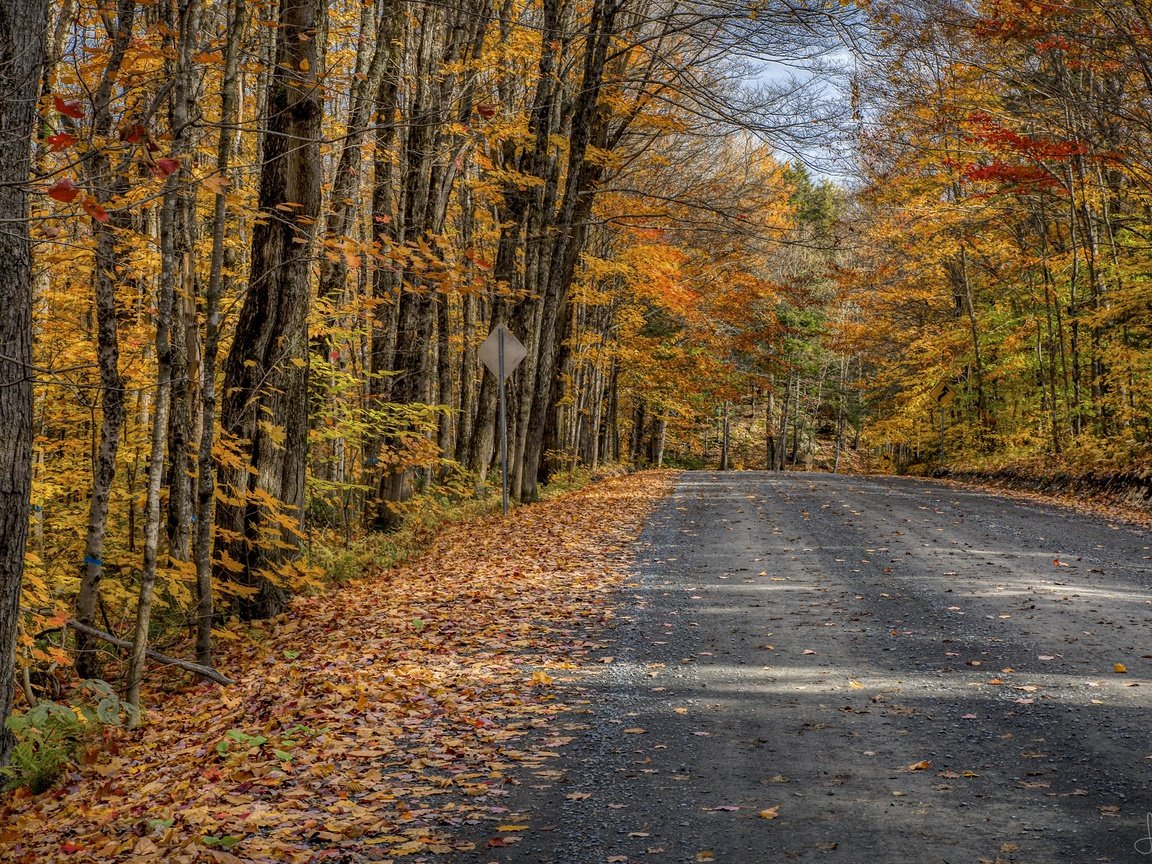 Обои дорога, осень, road, autumn разрешение 3840x2160 Загрузить