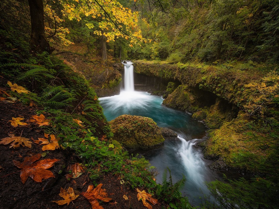 Обои лес, водопад, осень, forest, waterfall, autumn разрешение 2000x1443 Загрузить