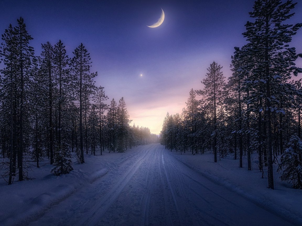 Обои небо, дорога, деревья, снег, лес, зима, месяц, the sky, road, trees, snow, forest, winter, a month разрешение 2200x1238 Загрузить