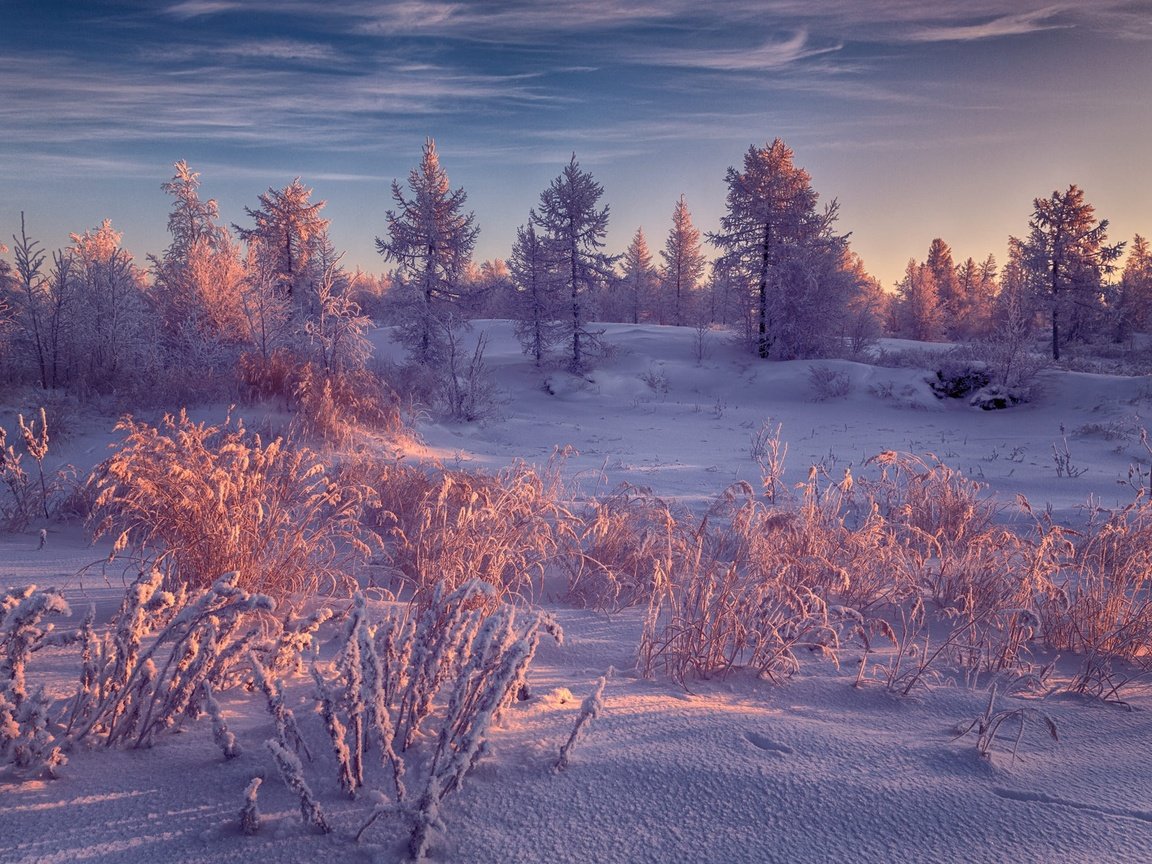 Обои небо, иней, свет, ели, облака, снег, природа, лес, зима, пейзаж, the sky, frost, light, ate, clouds, snow, nature, forest, winter, landscape разрешение 2000x1333 Загрузить