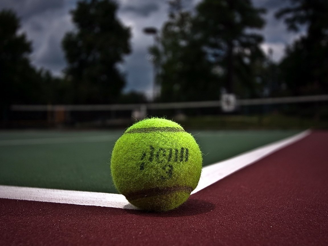 Обои мяч, теннис, корт, the ball, tennis, court разрешение 1920x1200 Загрузить