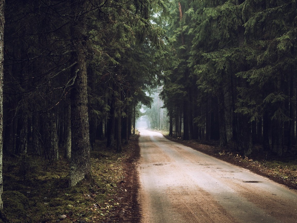 Обои дорога, лес, осень, road, forest, autumn разрешение 3840x2160 Загрузить