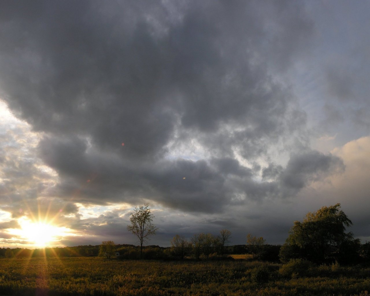 Обои небо, облака, деревья, солнце, the sky, clouds, trees, the sun разрешение 1920x1440 Загрузить