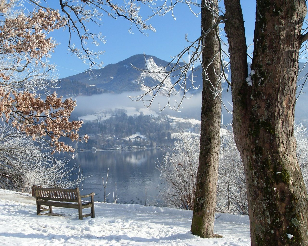 Обои деревья, река, зима, скамейка, trees, river, winter, bench разрешение 2048x1536 Загрузить