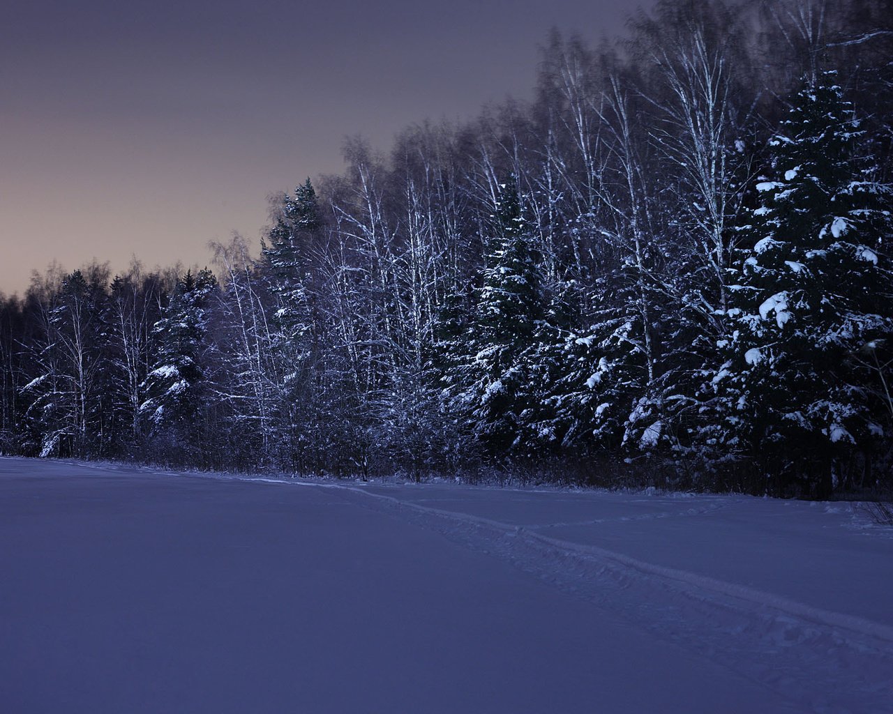 Обои ночь, снег, лес, зима, night, snow, forest, winter разрешение 1920x1280 Загрузить