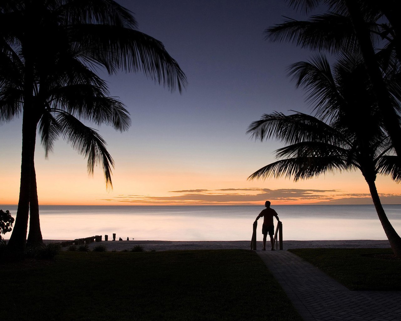 Обои пейзаж, горизонт, человек, пальмы, силуэт, landscape, horizon, people, palm trees, silhouette разрешение 2560x1920 Загрузить