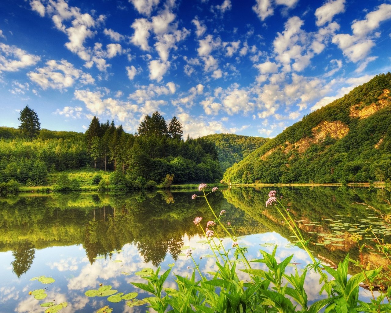 Обои облака, деревья, вода, озеро, лес, отражение, кувшинки, clouds, trees, water, lake, forest, reflection, water lilies разрешение 1920x1200 Загрузить