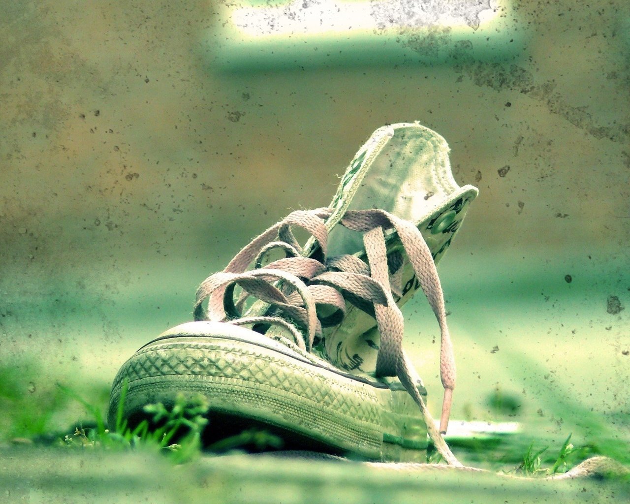 Обои трава, зелёный, кеды, пятна, обувь, шнурки, grass, green, sneakers, spot, shoes, laces разрешение 1920x1200 Загрузить