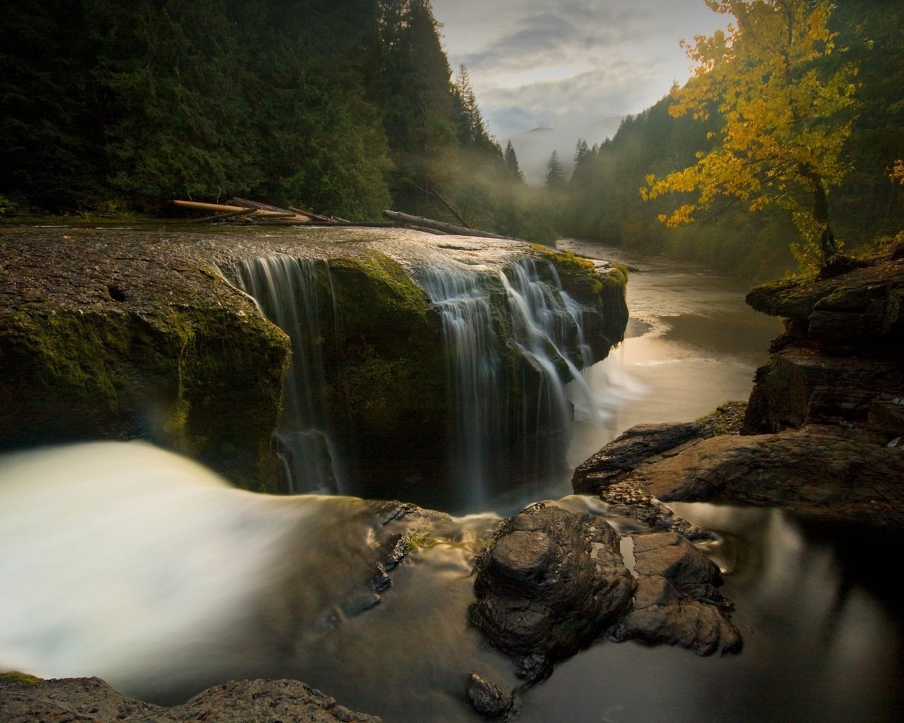 Обои деревья, река, камни, пейзаж, поток воды, trees, river, stones, landscape, the flow of water разрешение 1920x1200 Загрузить