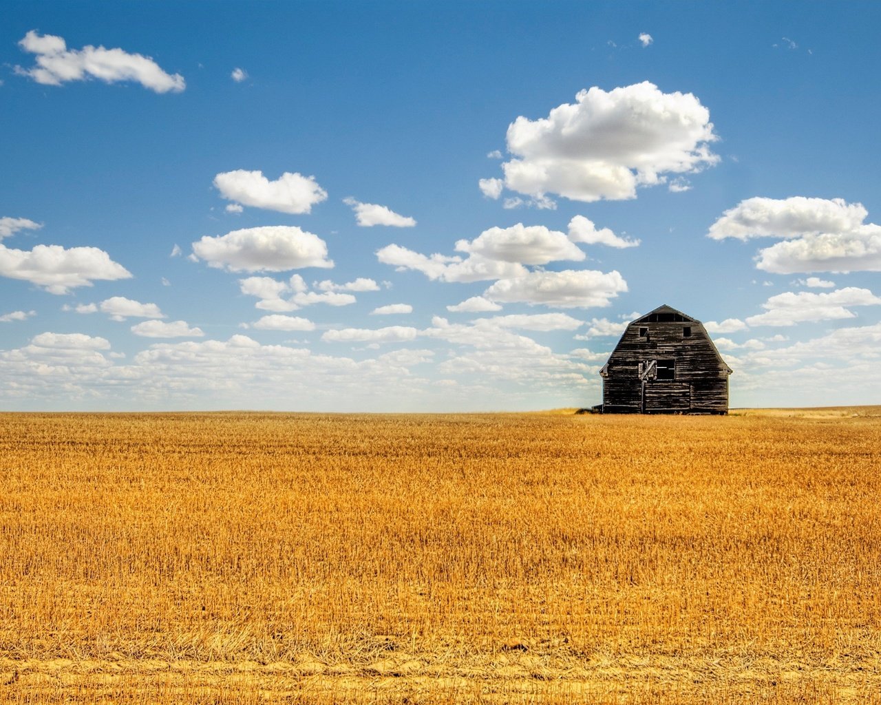 Обои облака, поле, лето, сарай, clouds, field, summer, the barn разрешение 2560x1600 Загрузить