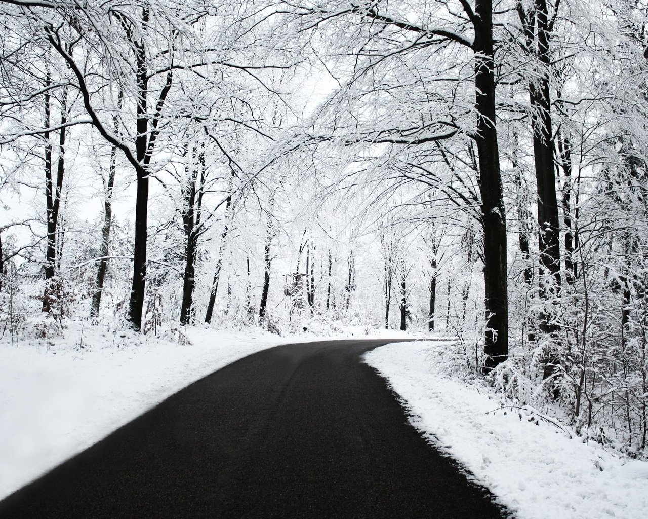 Обои дорога, снег, лес, зима, road, snow, forest, winter разрешение 2560x1600 Загрузить