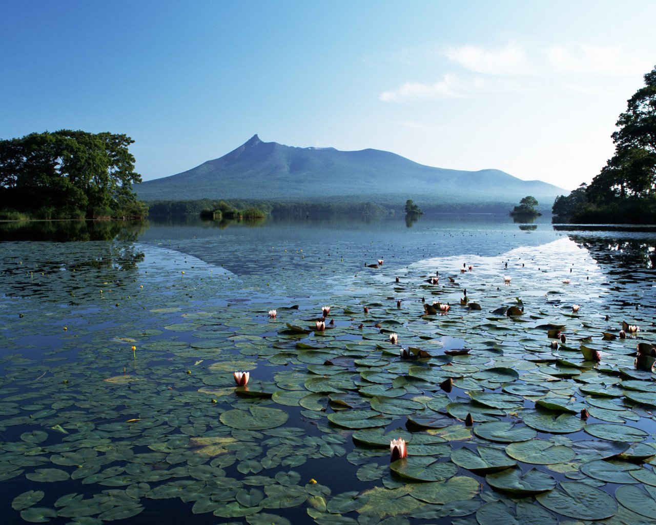 Обои озеро, горы, тишина, лилии, lake, mountains, silence, lily разрешение 1920x1200 Загрузить