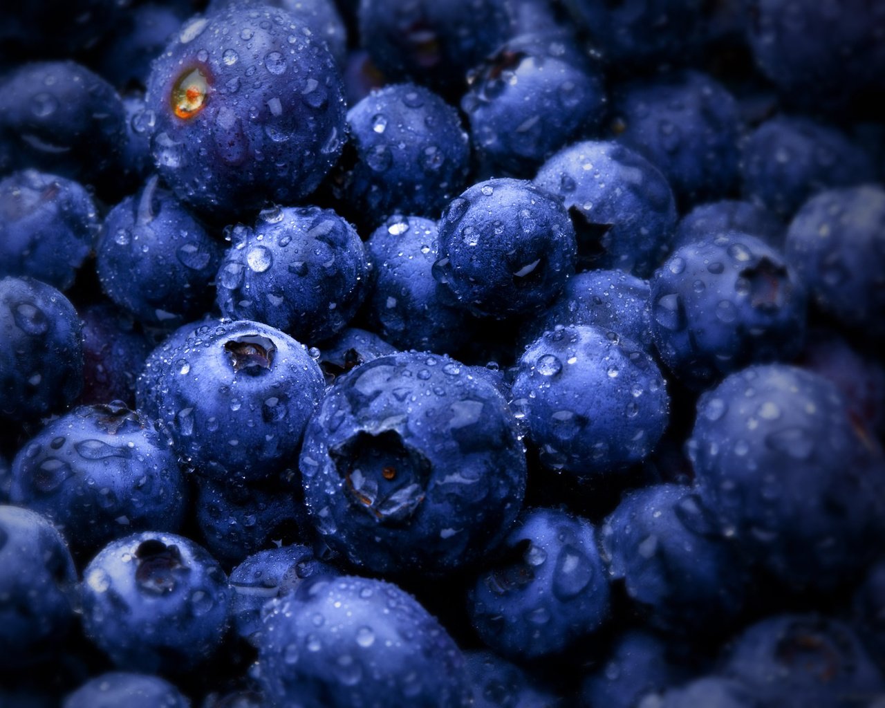 Обои ягоды, черника, bilberries, berries, blueberries разрешение 2560x1600 Загрузить