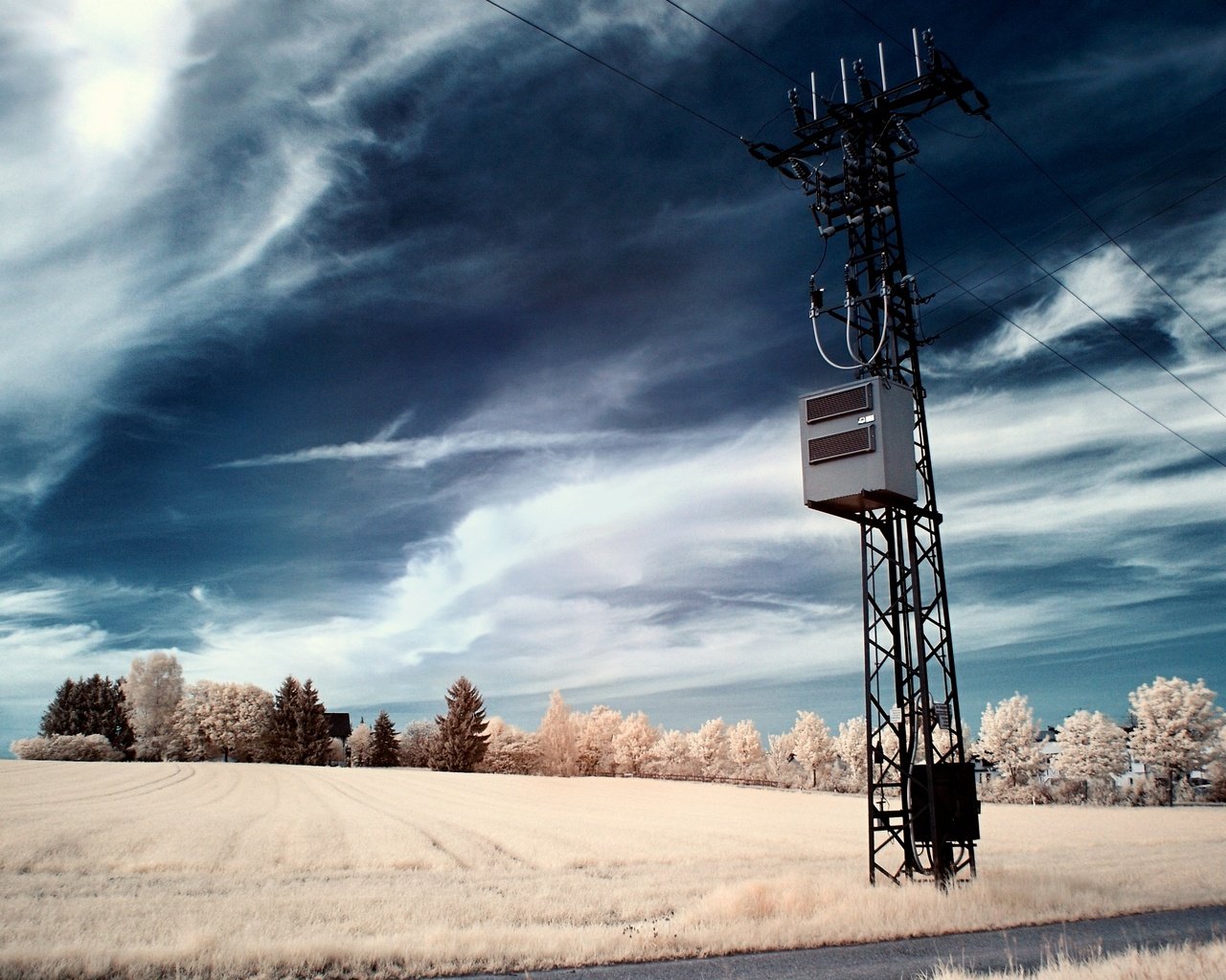 Обои небо, деревья, провода, поле, столб, the sky, trees, wire, field, post разрешение 2560x1600 Загрузить