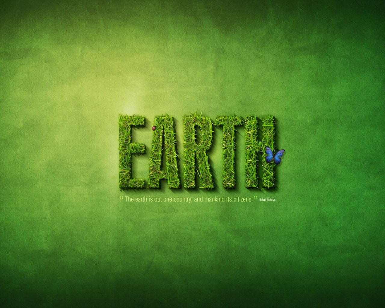 Обои земля, зелень, лето, earth, greens, summer разрешение 2560x1600 Загрузить