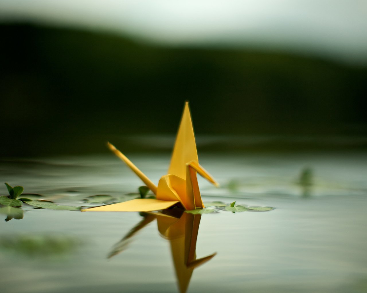 Обои вода, отражение, бумага, птица, оригами, пруд, журавлик, water, reflection, paper, bird, origami, pond, crane разрешение 1920x1200 Загрузить